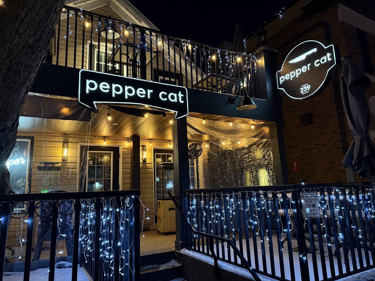 Pepper Cat